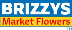 BRIZZYS trademark