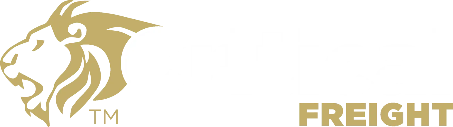 Critical Freight